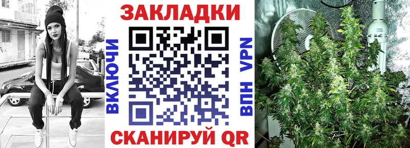 Купить закладку Alpha-PVP  Амфетамин  Галлюциногенные грибы  Бутират  Конопля  Мефедрон  Сорск