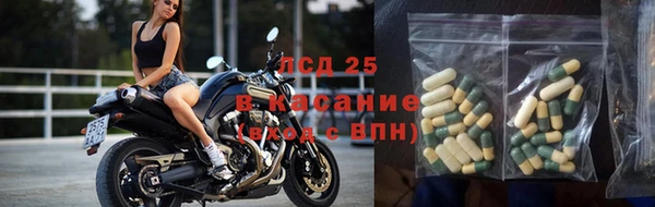 PSILOCYBIN Переславль-Залесский