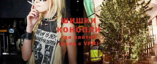 PSILOCYBIN Переславль-Залесский