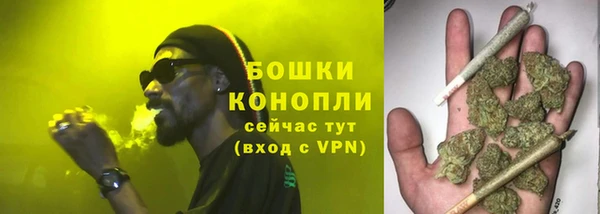 прущие грибы Осташков